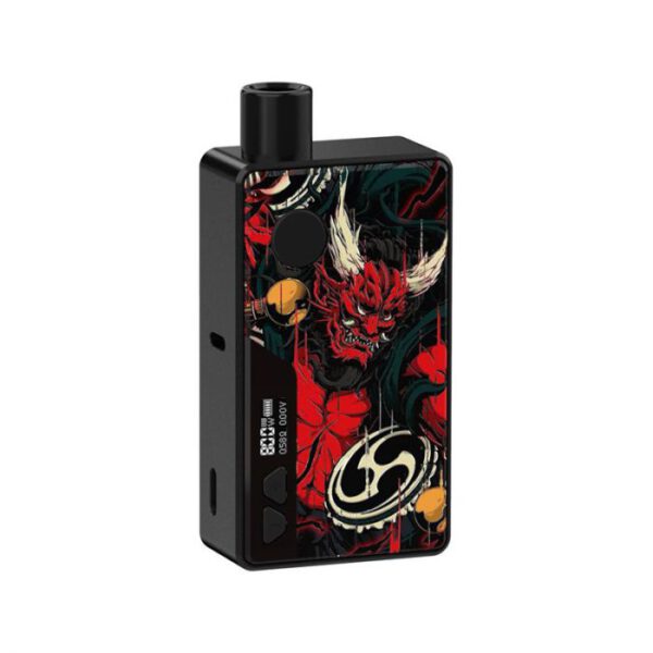 Rincoe Manto aio 80w kit